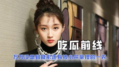 关于娱乐圈吃瓜的小说,瓜田里的秘密风云录